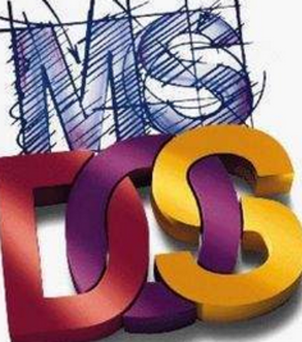 MS DOS
