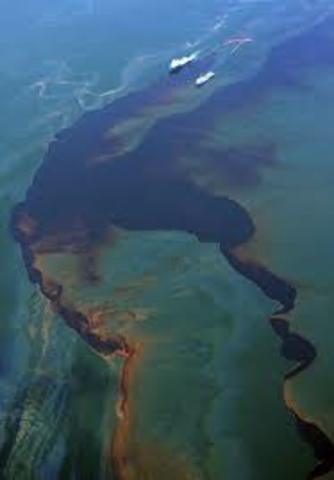 BP deepwater oil spill