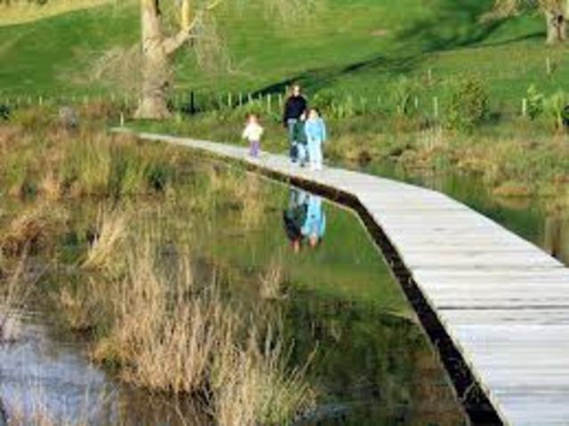 lake okareka walkway