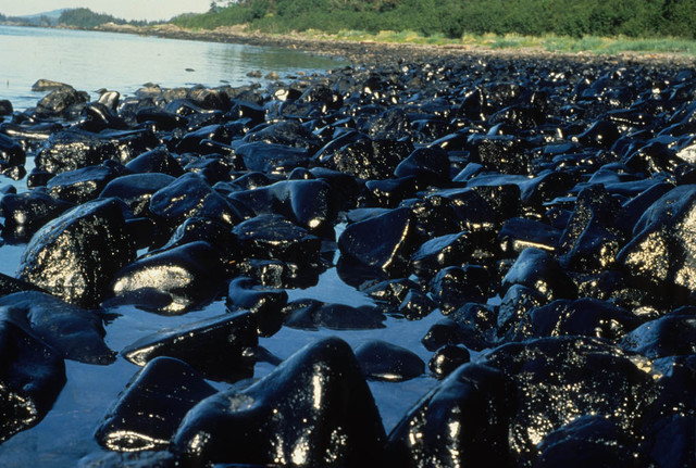 Exxon Valdez oil spill