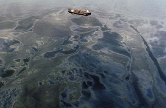Exxon Valdez Oil Spill