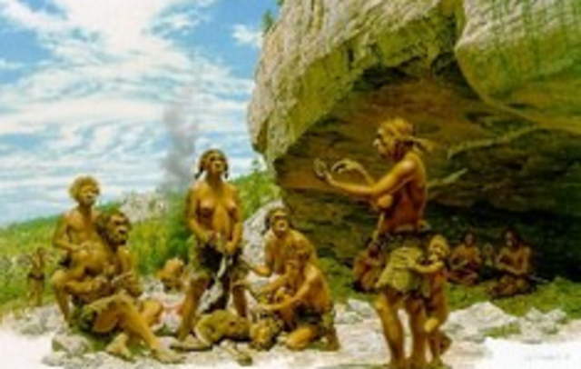 Antecedentes historicos de la administracion