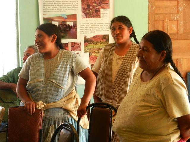 Taller percepciones sobre cambio climático y adaptación de mujeres de la Asociación de productores del sector Illimani