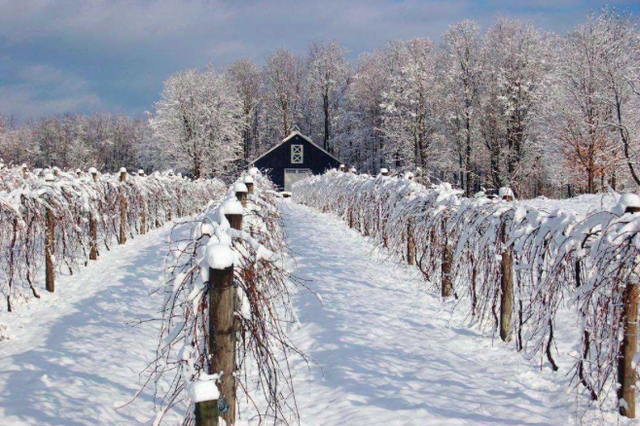 Jacques Cartier second voyage