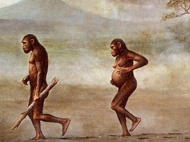 Seis millones de años Primeros ancentros de la especie humana