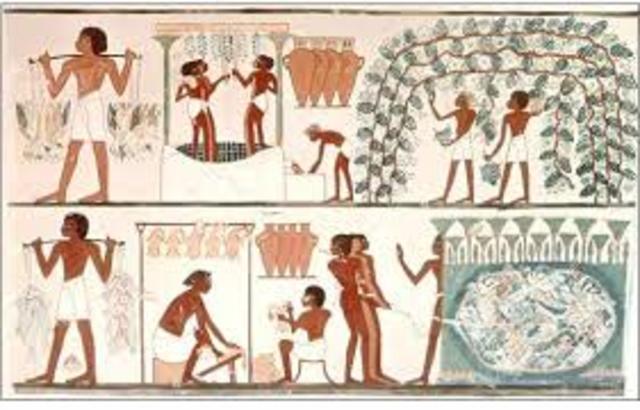 ADMINISTRACIÓN EN EGIPTO