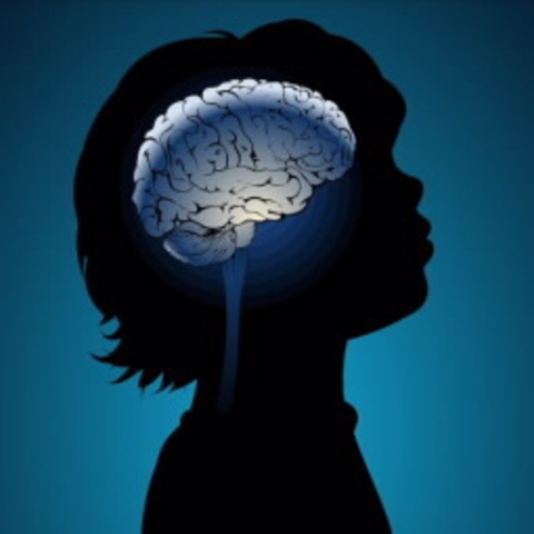 Intellectual Disability