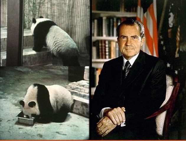 China Gives Nixon Two Rare Big Pandas