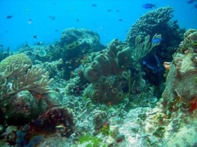 Costa Occidental de Isla Mujeres, Punta Cancun y Punta Nizuc