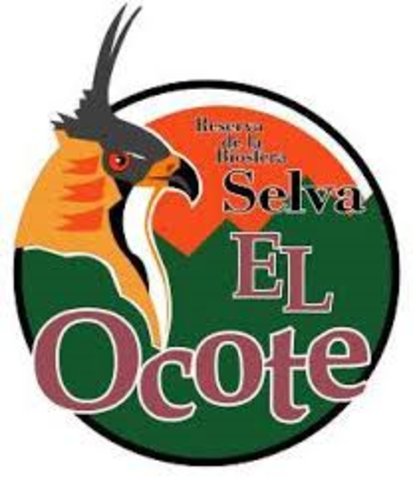 RB Selva El Ocote