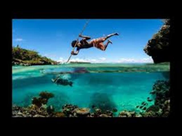 contratacion de bienes y servicios