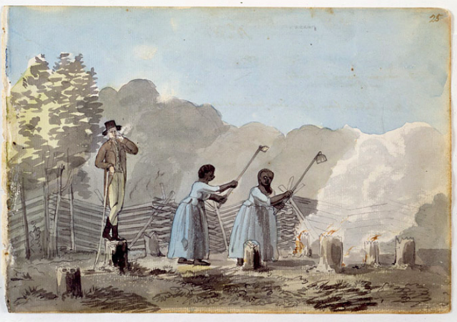 The Imperial Act of 1790