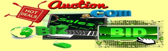 Networks Offer 100 Year Domain Names