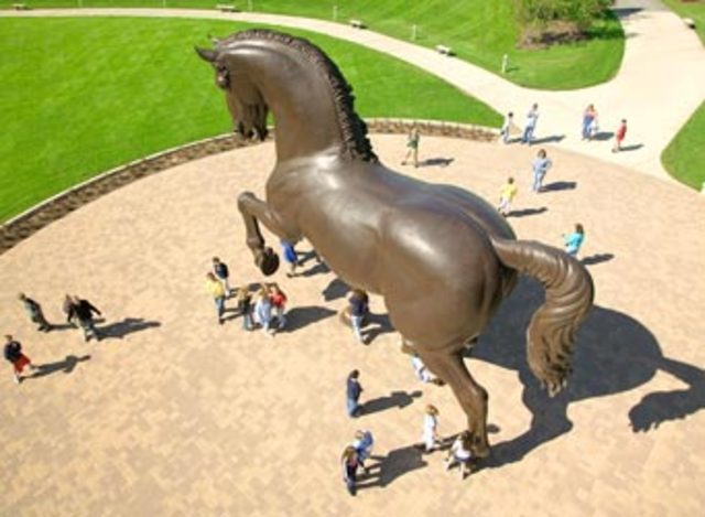 Da vinci's horse