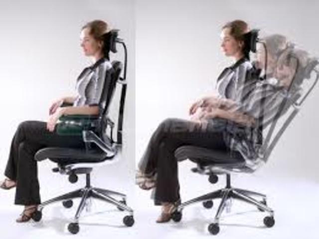 principios de la teoria del comportamiento organizacional