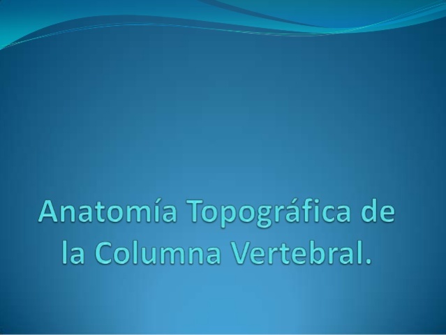 La columna verteblar
