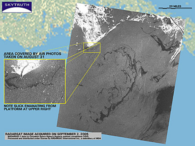 Estmations Rise Again