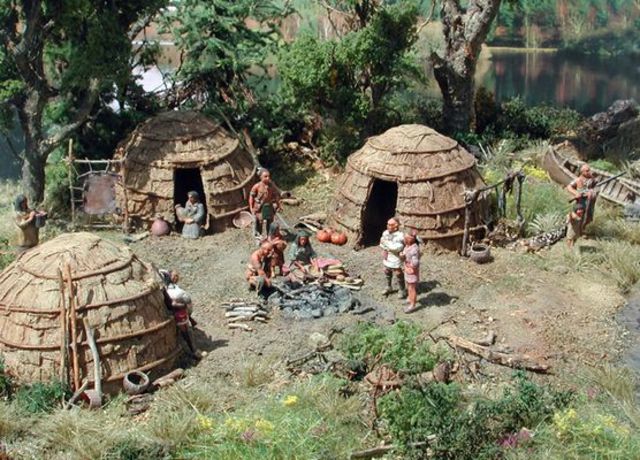 Treaties cause the removal of eastern woodland tribes