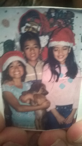 en la navida tuvimos una mascota que queriamos mucho