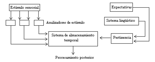 MODELO DE PERTINENCIA DE NORMAN