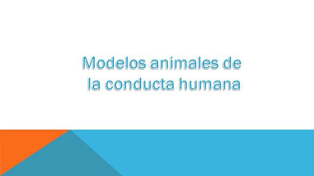 Modelos animales de la conducta humana