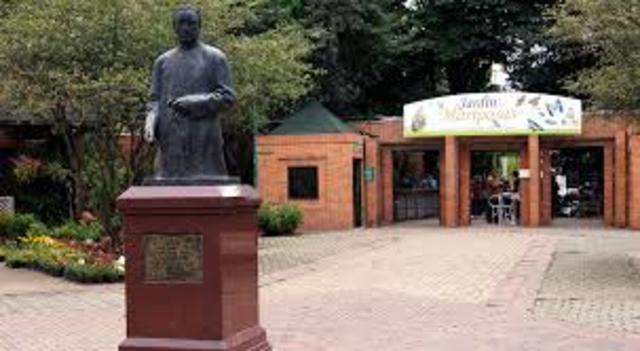 REORGANIZACION DE LA BIBLIOTECA PÙBLICA