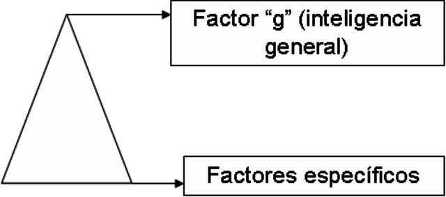 Teoría "bifactorial"