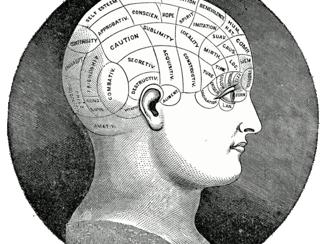 Francis Joseph Gall, Alemania