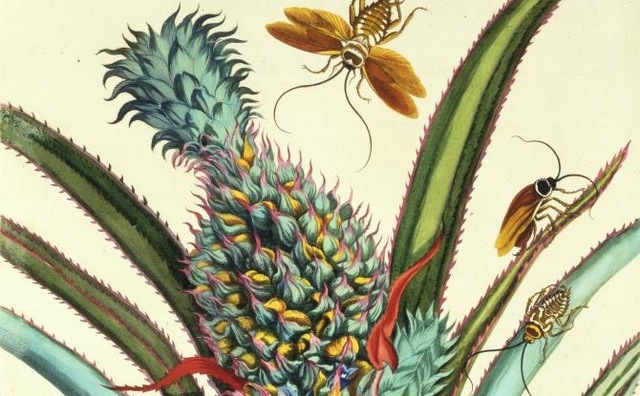 Moves  to Suriname for two years