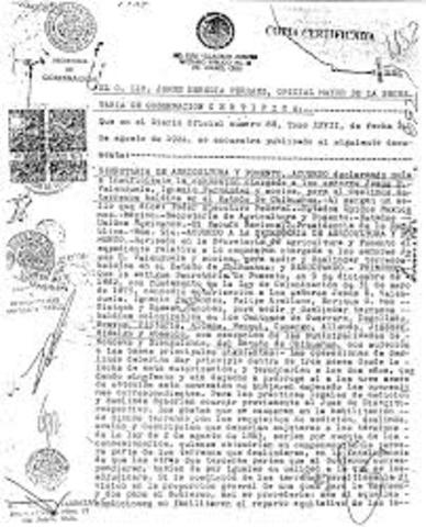 decreto sobre colonización y compañias deslindadoras
