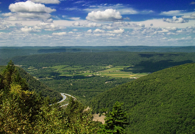 My parents friends reunion in Pennsylvania
