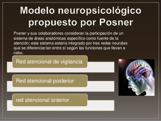 Posner, Petersen y Raichle