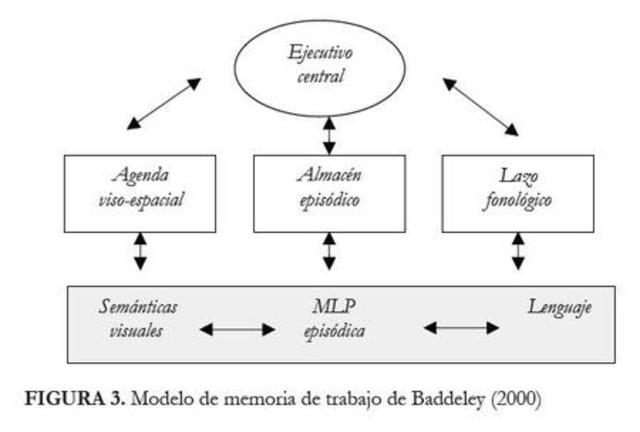 TEORIA ATENCIONAL DE POSNER,PETERSEN Y RAICHLE