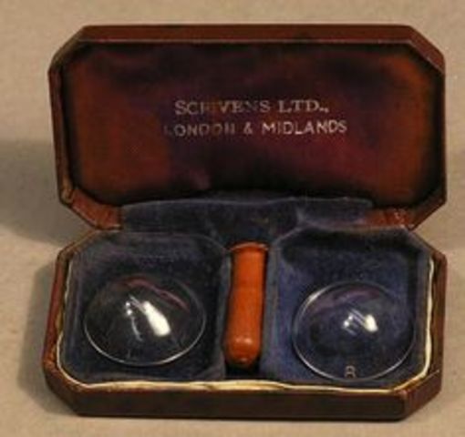 Contact Lenses