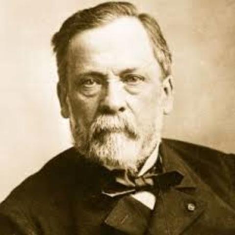 Louis Pasteur (1822-1895)