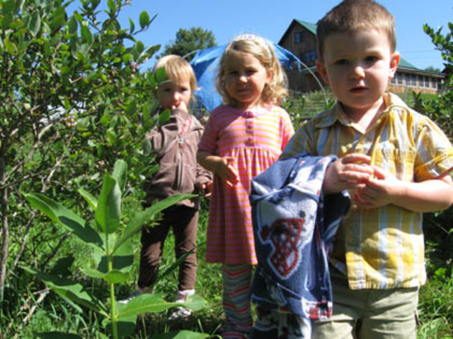 2.1 Passive Gene Environment Correlation