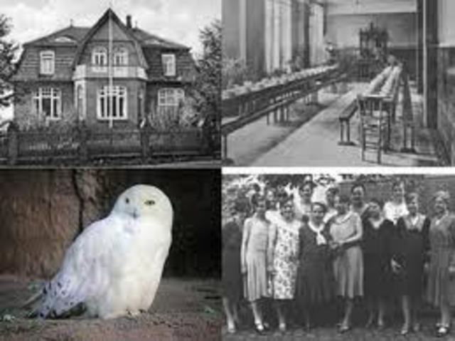 REFORMADORES DE LA ENFERMERIA