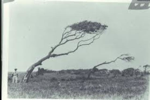 Cheniere Caminada Hurricane