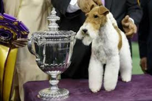 Westminster Kennel Club