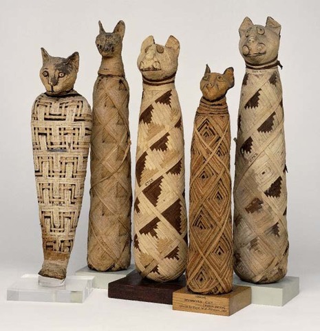 Mummified cats (fact 1)