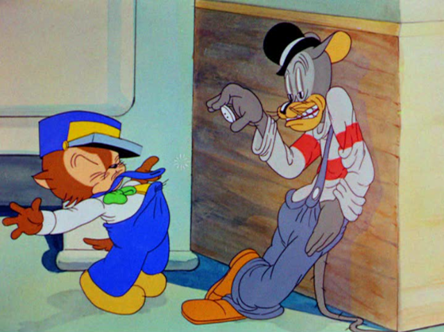 The Debut Of Thomas Cat