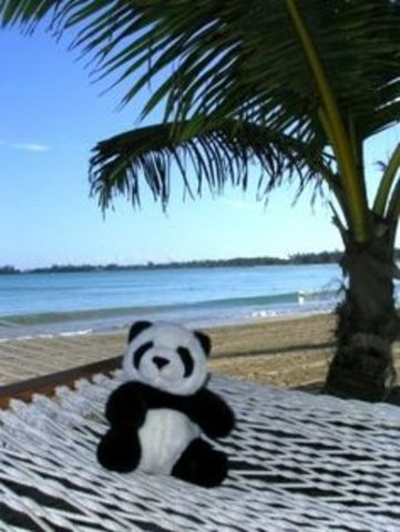 Mi primer viaje a la playa.