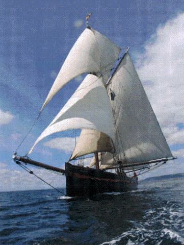 la plaga s'esten a venecia.