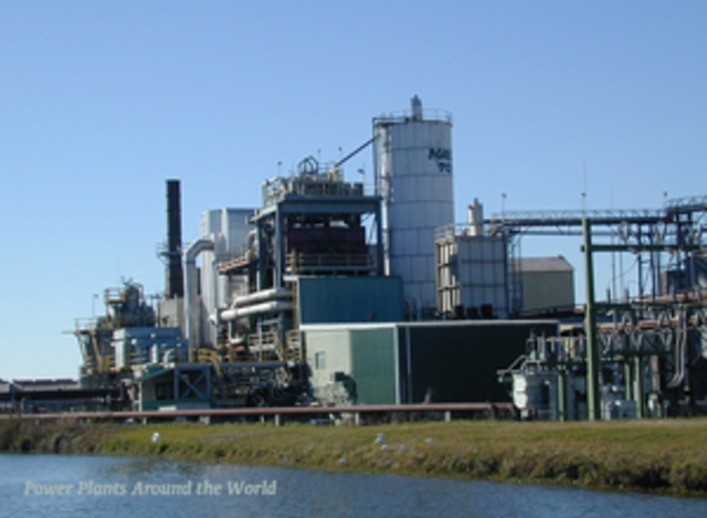 The World's First Commercial Biomass Power Station