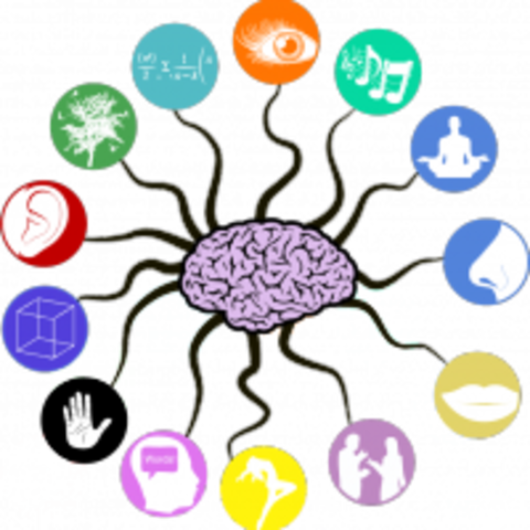 Causas y caracteristicas generales