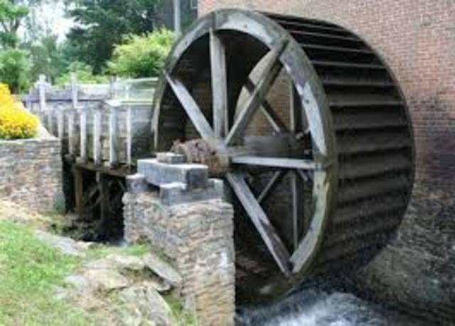 Animals and renewables