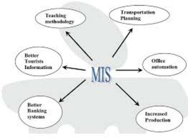 MIS (Management information System)