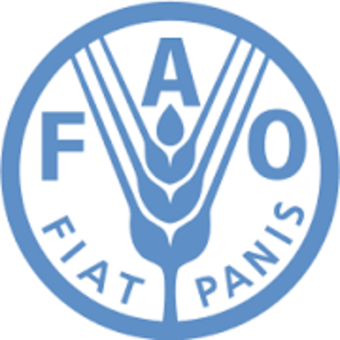 Se crea la FAO