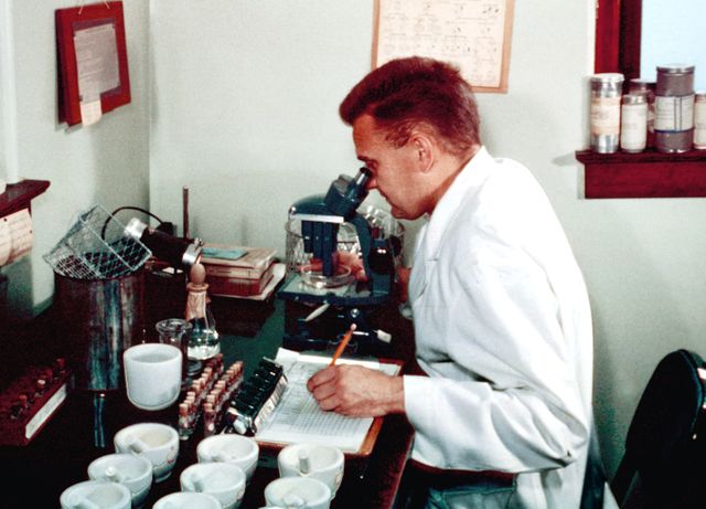 Francis Bacon uses microscope to discover plaque fleas