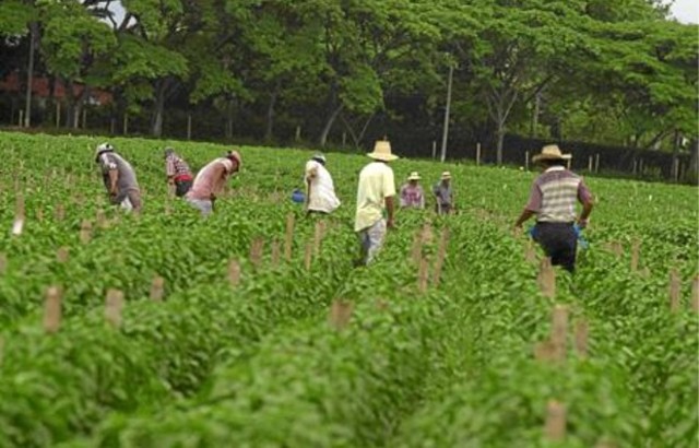 segunda Generaion/ ley del trabajo
